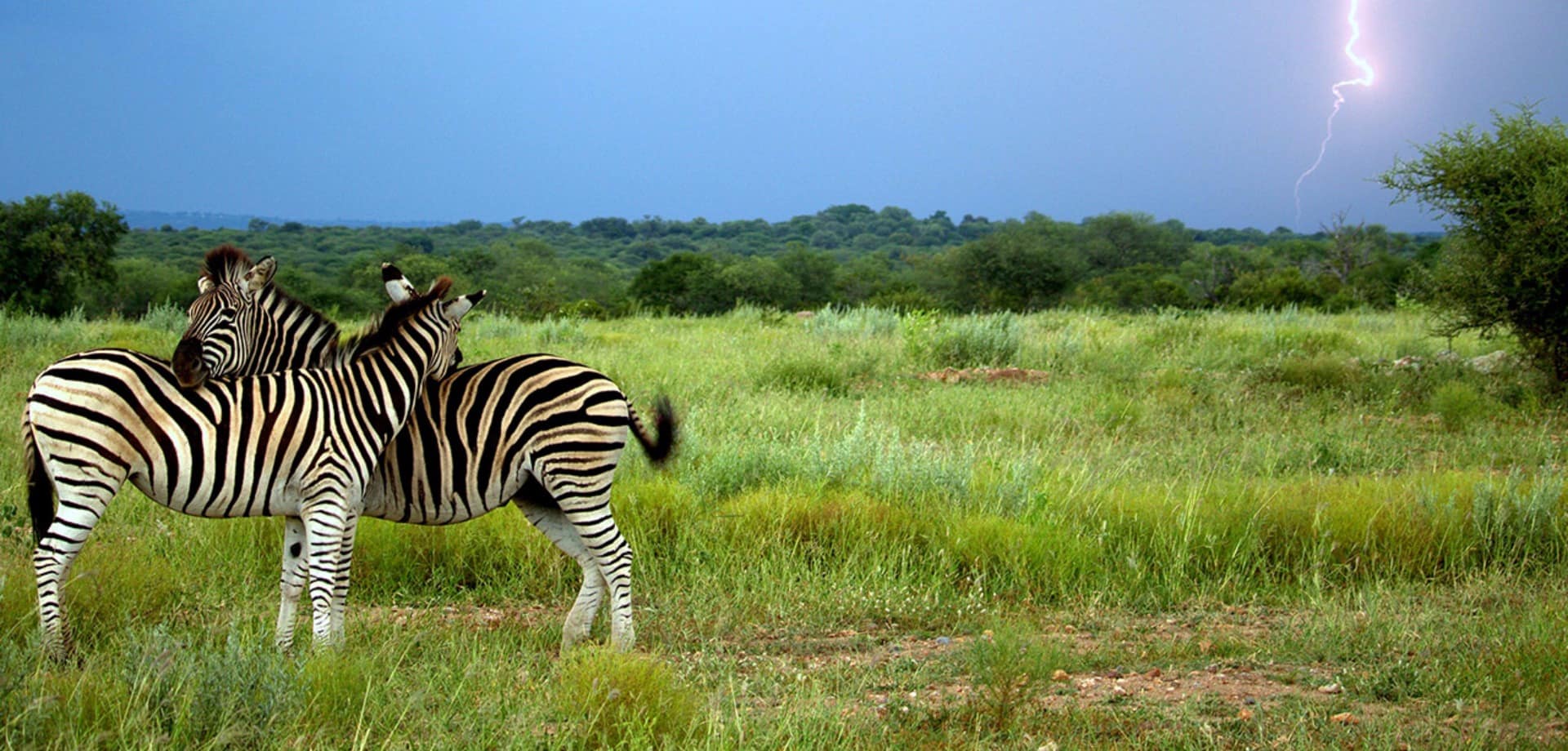 Kapama, África do Sul